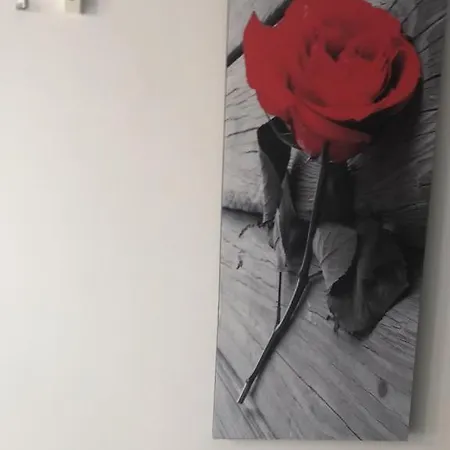 Rubino Rosa Apartamento